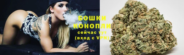 ALPHA PVP Новодвинск